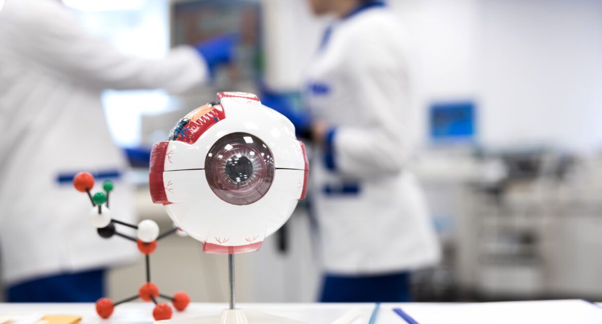 Enlarged human eye model with scientists on blurred background